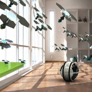 the swarm