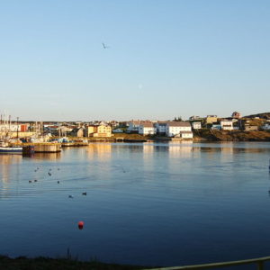 bonavista2