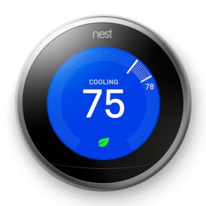 nest