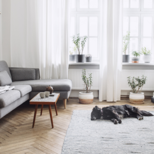 buying a new home can be stressful