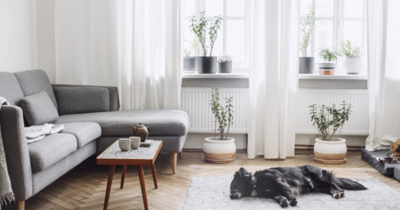 buying a new home can be stressful