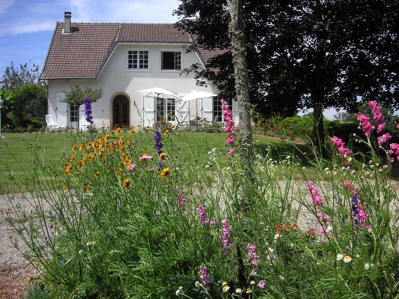 Flowers growing near a rural house